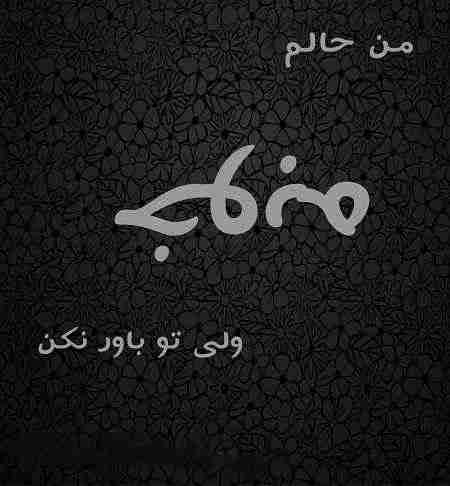 عکس پروفایل حالم خوبه ولی تو باور نکن