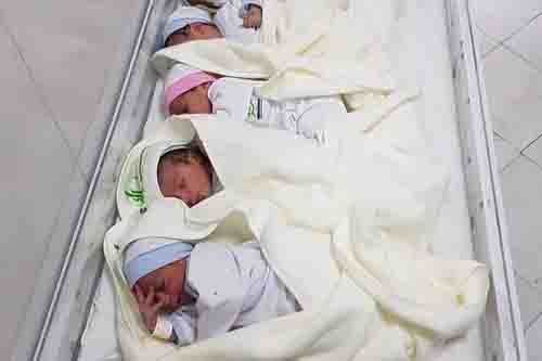 جریان تولد هشت قلو در یزد چیست