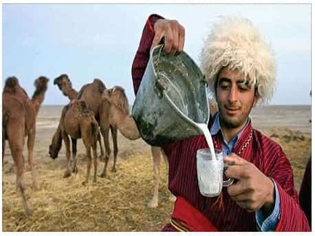 خواص دوغ شتر