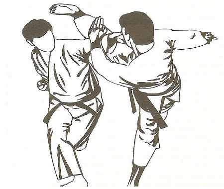 تاریخ روز جهانی کاراته چه روزی است در تقویم ایران 16 مهر